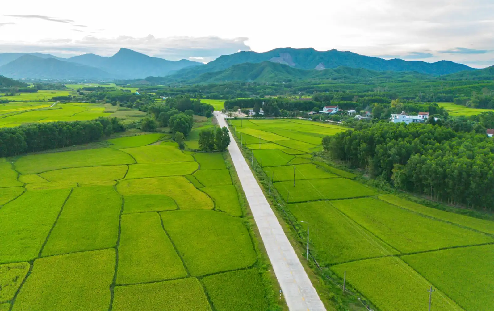 扫地机与洗地机技术对比：哪种设备更适合物业地面清洁
