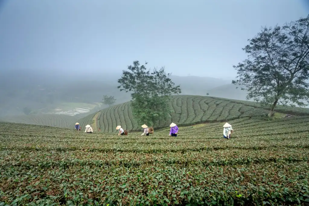 工业扫地机选型要点：工厂地面清洁效率提升的关键因素
