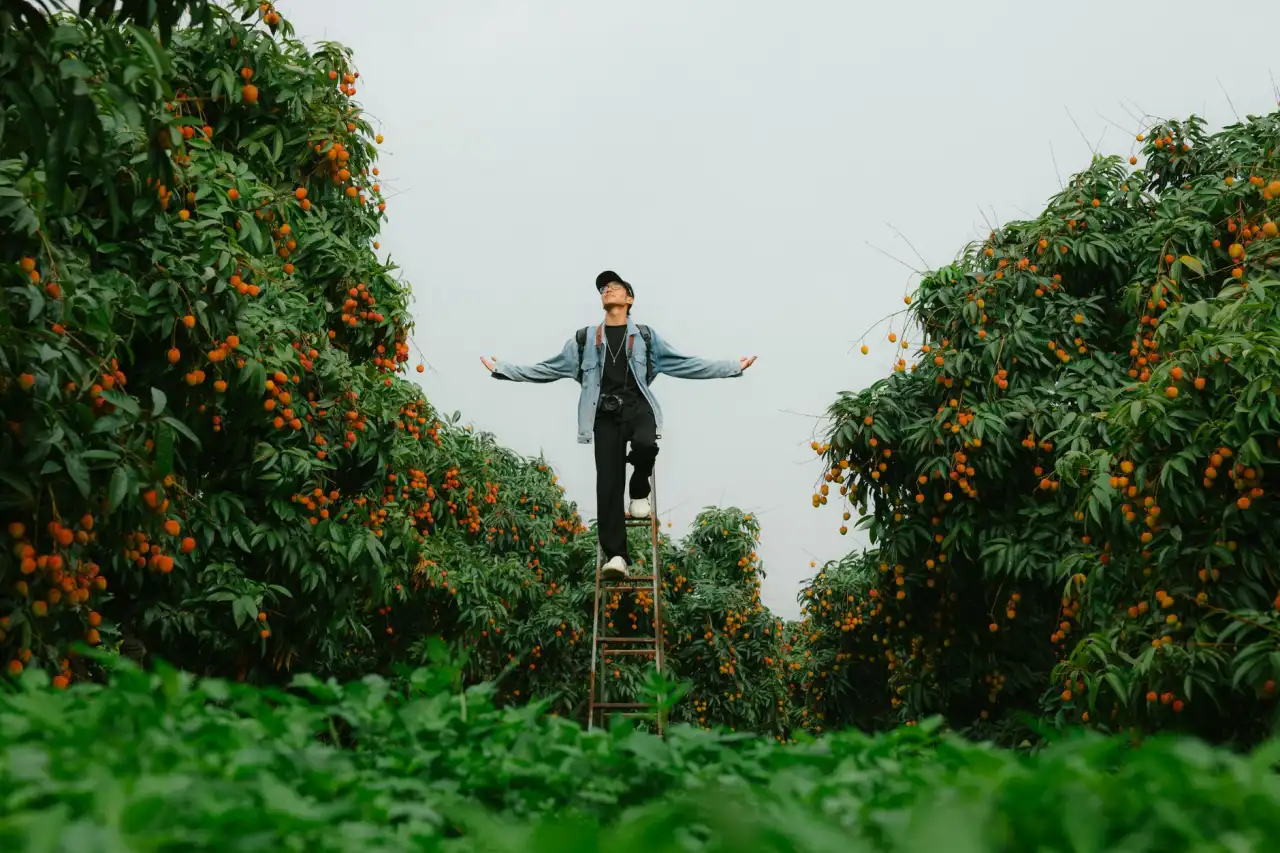 洗地机与工业吸尘器协同作业效率对比分析