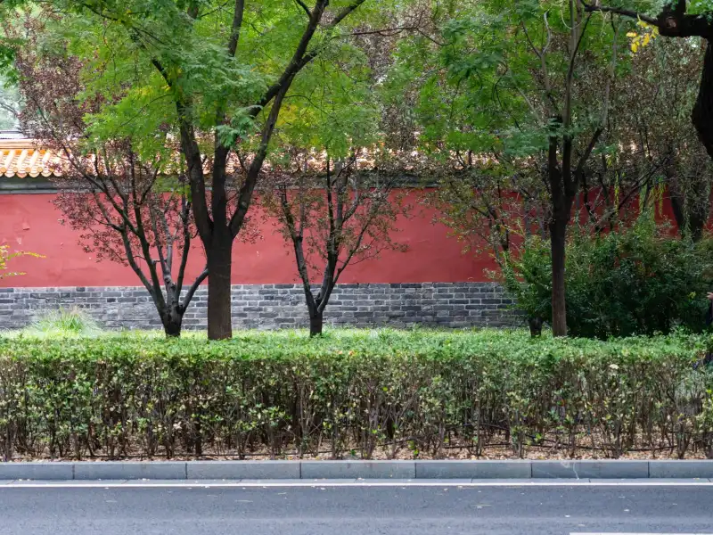 重庆雪蒽科技工业吸尘器选型指南：工厂车间适配方案