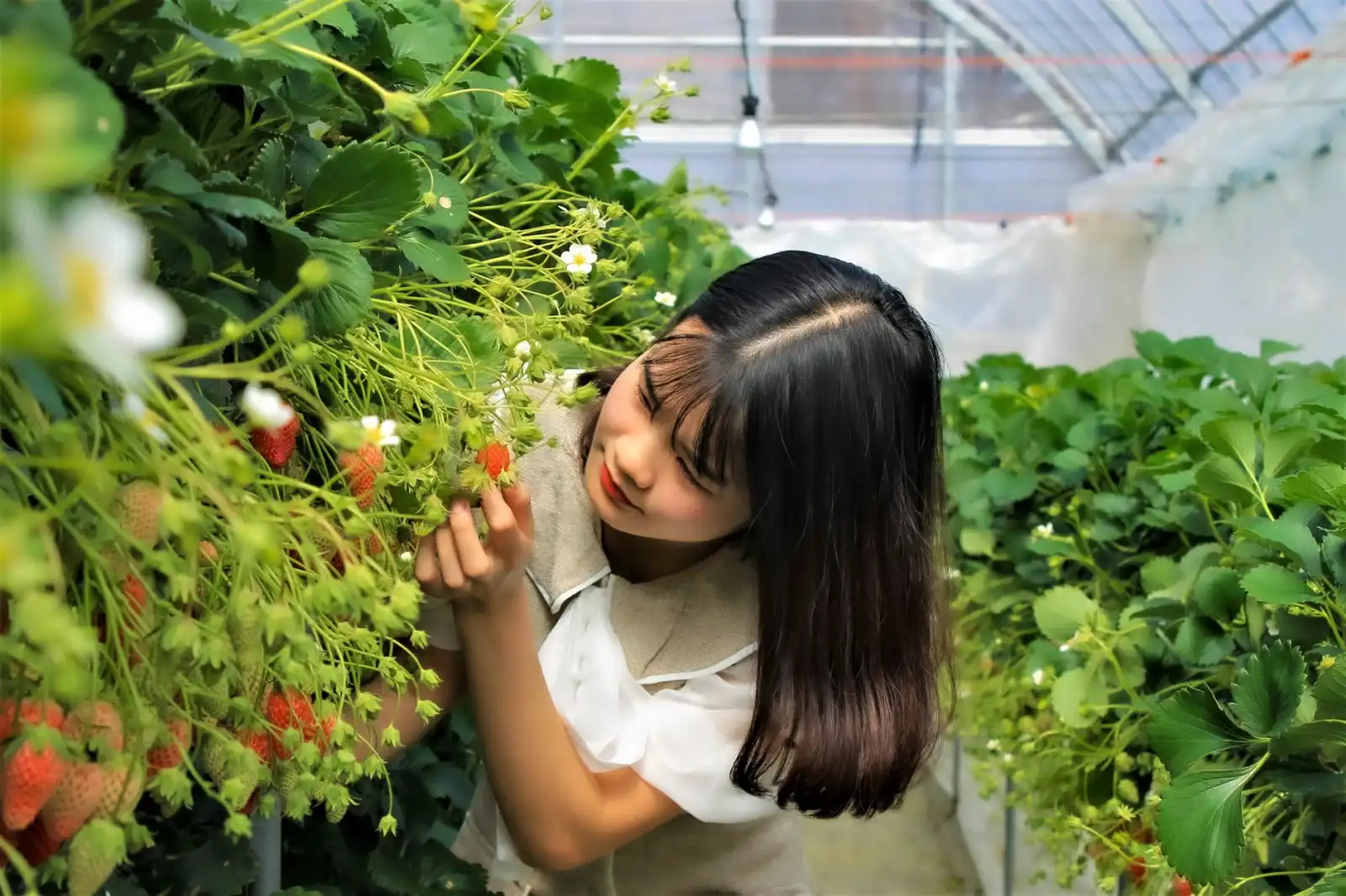 工业吸尘器与扫地机在工厂车间清洁中的协同应用解析