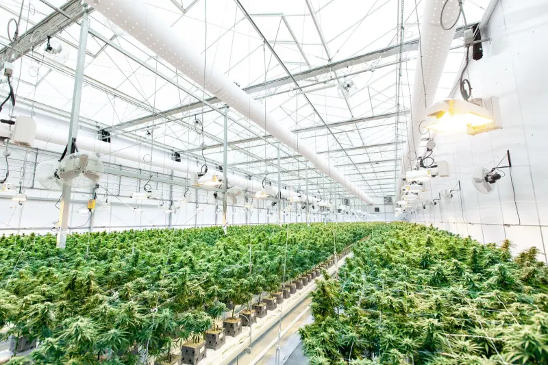 扫地机智能调度系统在物业保洁中的效率提升实测