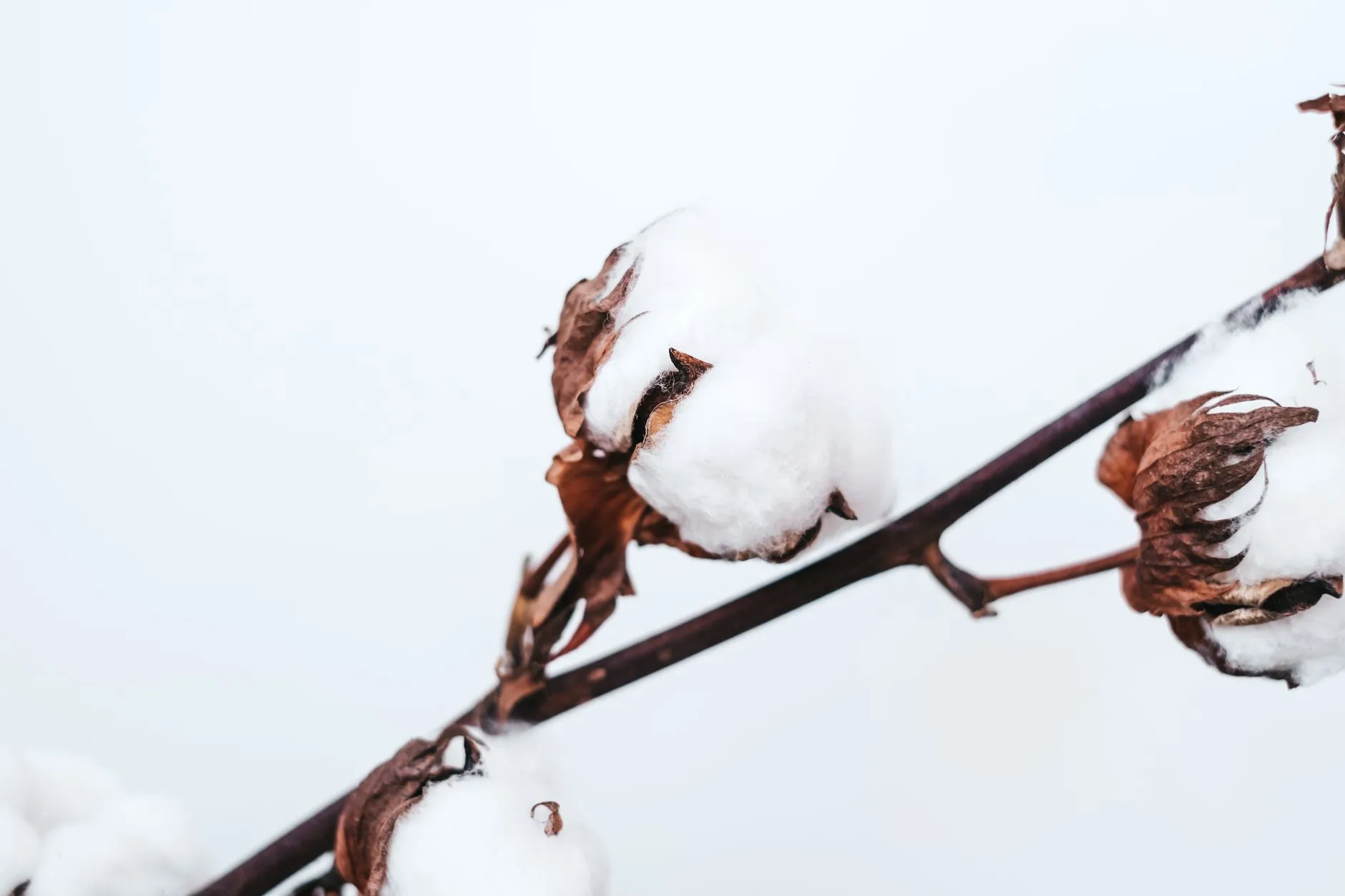 重庆雪蒽科技工业吸尘器在工厂粉尘治理中的选型与应用案例