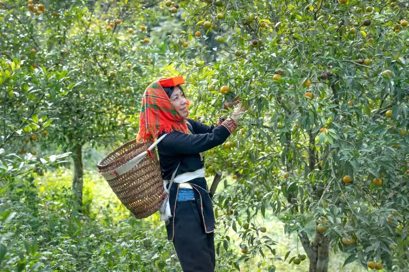 重庆雪蒽科技工业吸尘器在工厂粉尘治理中的选型与应用案例