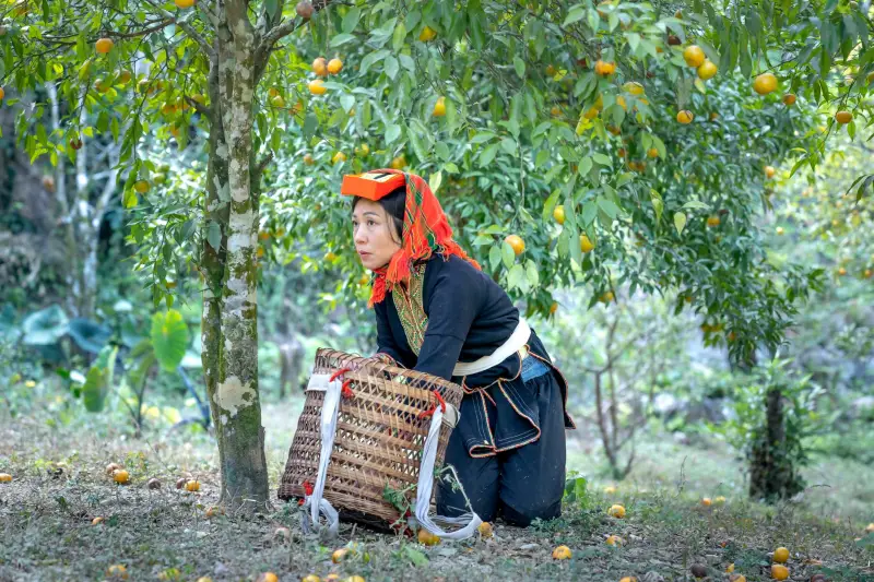 扫地机与洗地机在工厂地面清洁中的差异化应用
