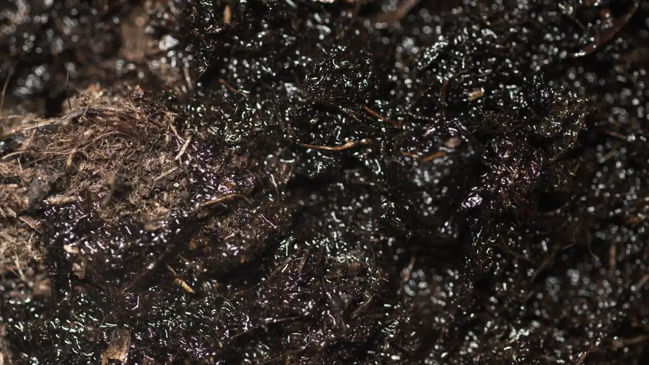 工业扫地机与洗地机在工厂车间地面清洁中的协同应用分析