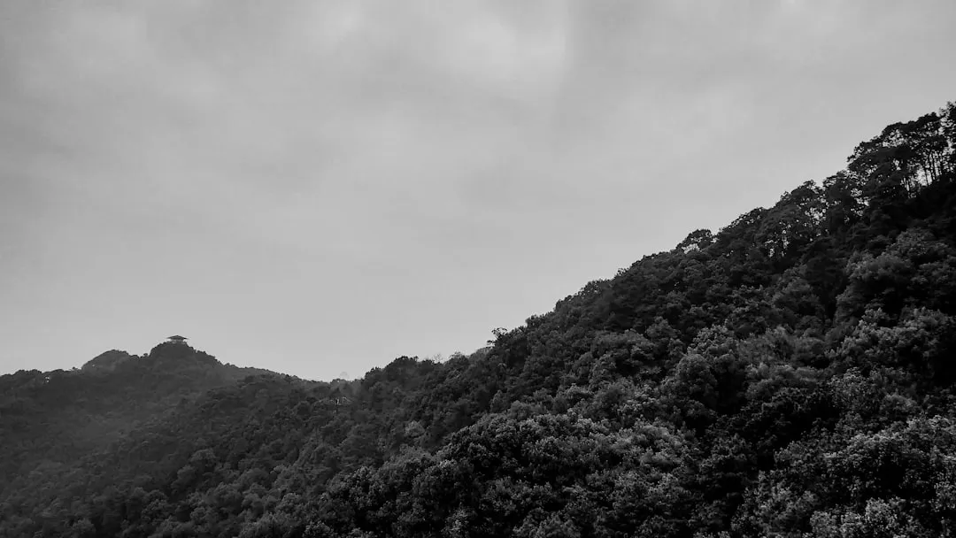 重庆雪蒽科技工业吸尘器选型参数与适用场景匹配指南