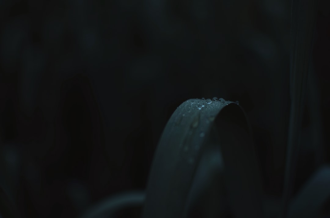 重庆雪蒽科技工业吸尘器在汽车零部件车间的应用案例