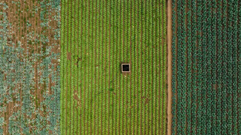 扫地机与洗地机在物业保洁场景中的协同作业方案